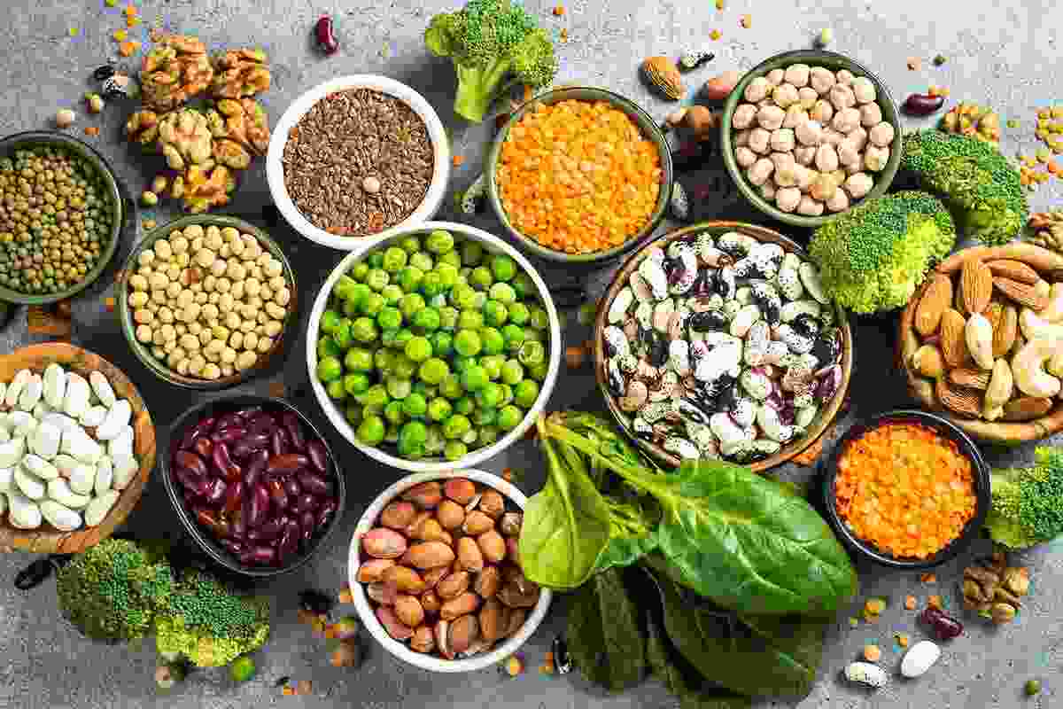 A plater full of Balanced Protein and Plant-Based foods