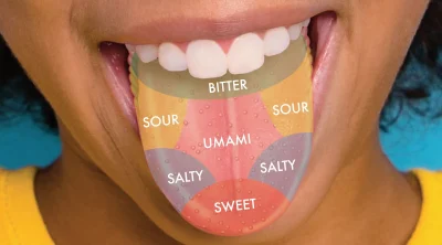The Science Behind Taste and Flavor
