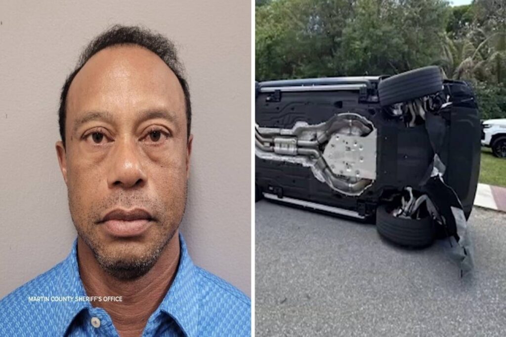 Tiger Woods Arrested for DUI After Rollover Crash in Florida A mugshot of Tiger Woods