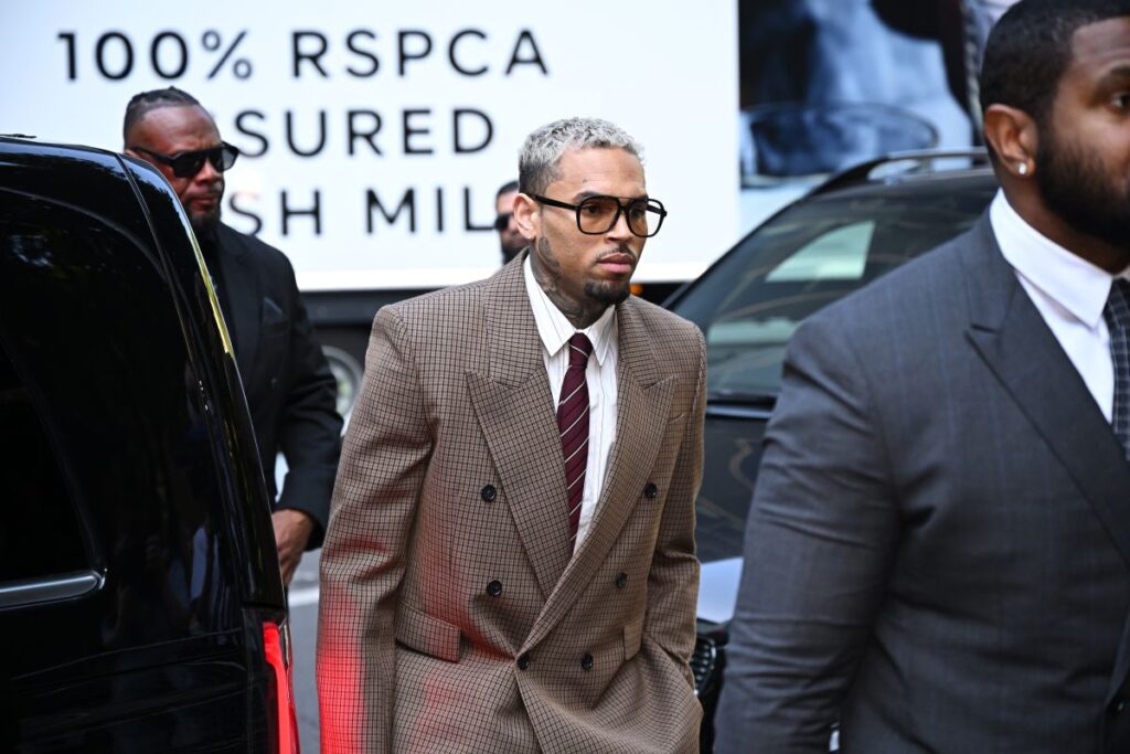 Chris Brown Seeks Court Order to Block Rihanna Case Mention in Dog Bite Trial