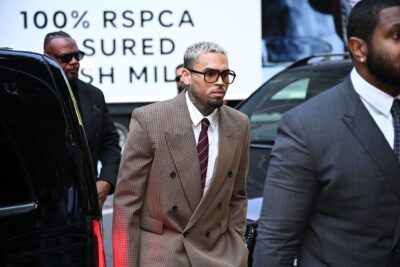 Chris Brown Seeks Court Order to Block Rihanna Case Mention in Dog Bite Trial