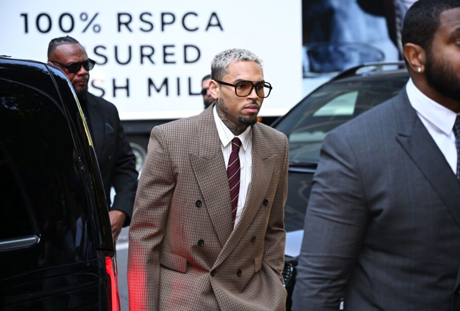 Chris Brown Seeks Court Order to Block Rihanna Case Mention in Dog Bite Trial