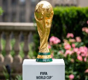 Fifa world cup