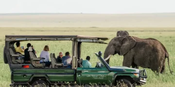African Safari Trip