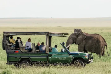 African Safari Trip