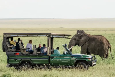 African Safari Trip