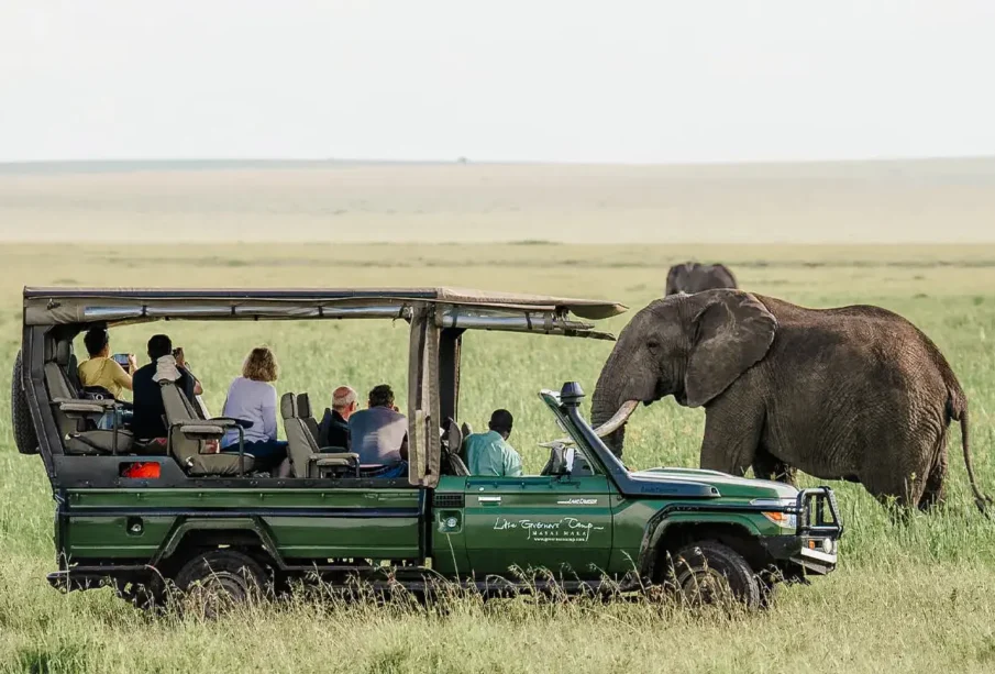 African Safari Trip