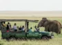 African Safari Trip