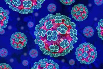 Hantavirus under the microscope