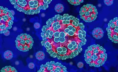 Hantavirus under the microscope