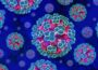Hantavirus under the microscope