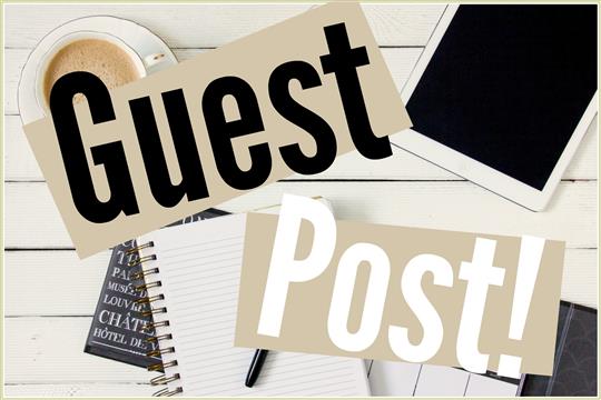 Guest Post on ThePrime.ng – Submit Your Articles and Share Your Expertise Guest Post on www.theprime.ng